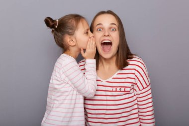 Indoor shot of shocked woman looking at camera with open mouth, little girl with hair buns saying secret to mommy hear, family, wearing casual clothes standing isolated over gray background.