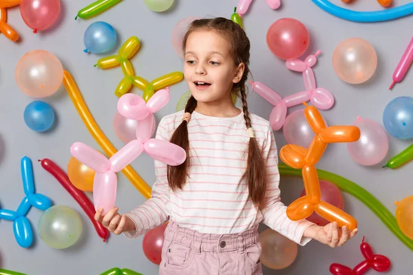 Funny birthday kid. Playing time. little girl with braids standing against gray wall decorated with colorful balloons, smiling happy enjoying holiday.