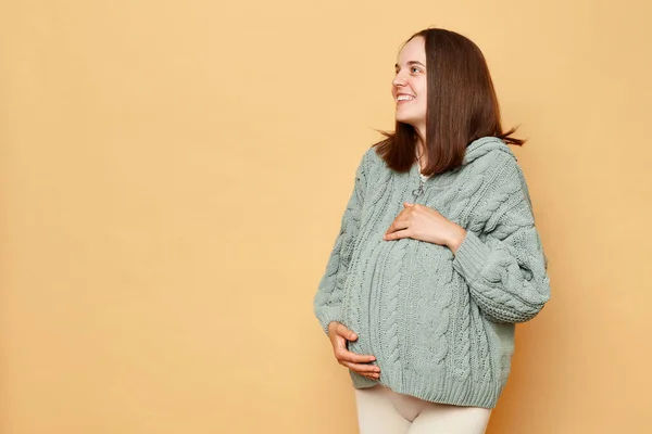 Smiling Satisfied Young Pregnant Woman Wearing Knitted Sweater Standing Isolated — Stock Photo, Image