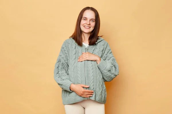 Απολαυστική Όμορφη Νεαρή Έγκυος Γυναίκα Φορώντας Πλεκτό Πουλόβερ Στέκεται Απομονωμένη — Φωτογραφία Αρχείου