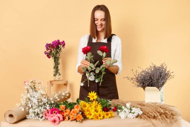 Profesyonel çiçekçi dükkanı. Doğadan esinlenilmiş çiçek tasarımı. Kahverengi önlüklü, neşeli, çalışkan kadın bej arka planda saklanmış gülleri elinde tutarak çiçek buketi yapıyor.