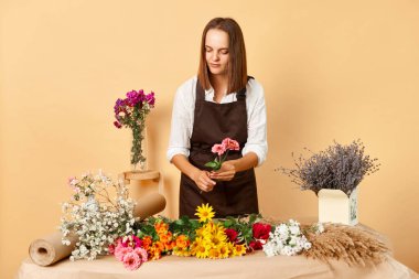 Organik çiçek pazarı. Aromatik çiçekler ve bitkiler. Aromatik çiçekler ve bitkiler. Kahverengi saçlı kadın çiçekçi işyerinde çalışıyor. Kahverengi önlük giyip bej duvara poz veriyor.