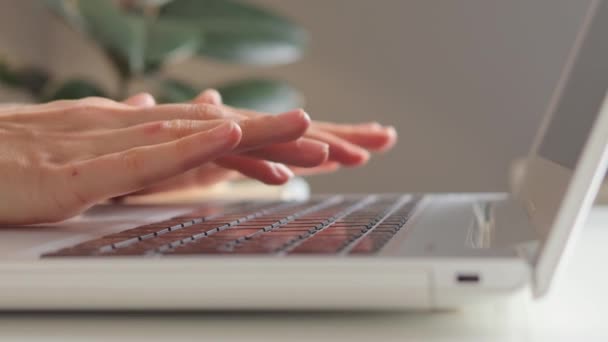 オンライン作業に従事するノートパソコンのキーボードに積極的にタイピングする女性手 彼女のリモートジョブインターネット通信を行うPcソフトウェアアプリケーションを使用して — ストック動画