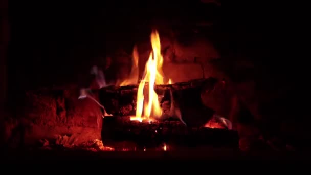 Quema Leña Horno Hoguera Con Pared Ladrillo Fondo Video Fuego — Vídeos de Stock