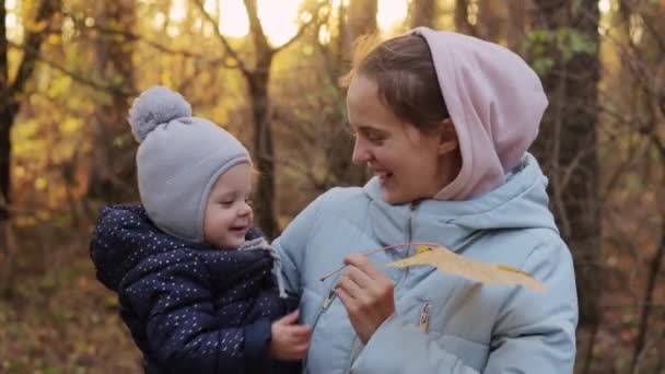 秋の森で過ごす楽しい家族 母と娘は公園でアウトドアを楽しんだり 秋の風景を魅了したり 黄色い葉で遊んだりする — ストック動画