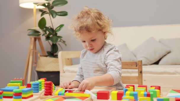 Construção Criativa Criança Classificador Forma Colorida Jogo Puzzle Geométrico Jogo — Vídeo de Stock