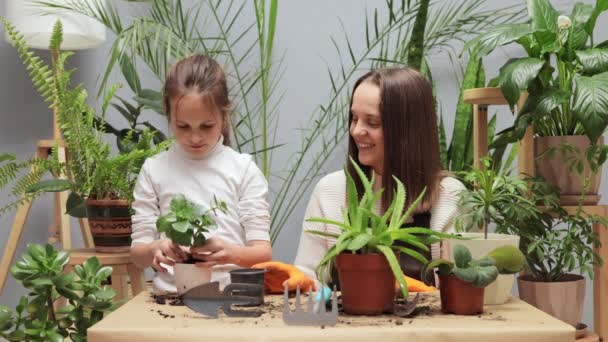 Female Gardener Joy Leisure Houseplants Growth House Florist Botanical Family — Stock Video