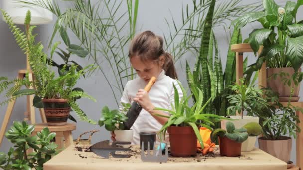 Planta Vaso Cuidado Botânico Menina Encantadora Crescendo Cuidando Flores Vasos — Vídeo de Stock