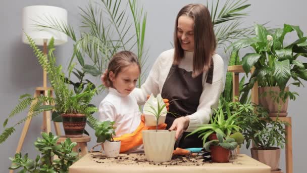 勤勉な母親と娘は 家庭の緑の植え付けと水やりの家の植物で一緒に家植えと一緒に働いています 陶器の花の世話をする — ストック動画