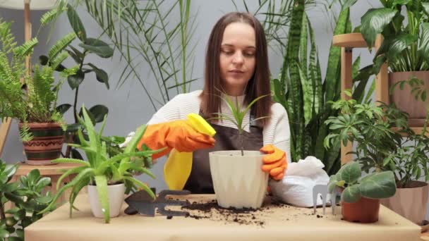 Bio Tuinieren Thuis Milieuvriendelijke Zorg Bloemenhandel Gebruik Van Huishoudelijke Meststoffen — Stockvideo
