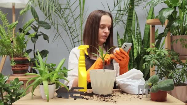 Ciężko Pracująca Kobieta Ogrodnik Pomocą Smartfona Miejscu Pracy Centrum Botanicznym — Wideo stockowe
