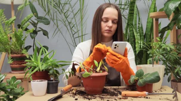 Femme Malheureuse Jardinier Prenant Soin Mourir Plante Intérieur Pénurie Eau — Video