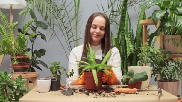 Gärtnersche Freude Frische Blumen Hause Freizeit Mit Zimmerpflanzen Wachstum Haus — Stockvideo