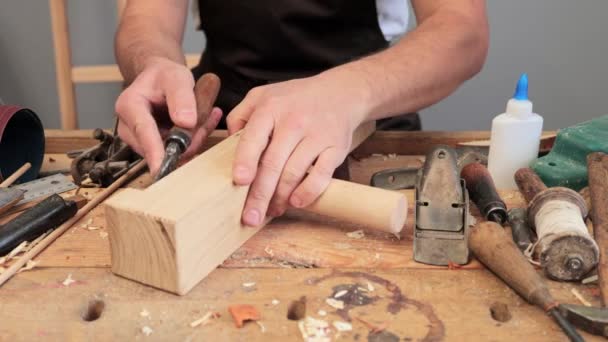 Dominando Comércio Madeira Toque Artesão Construção Oficina Criativa Woodworker Marceneiro — Vídeo de Stock