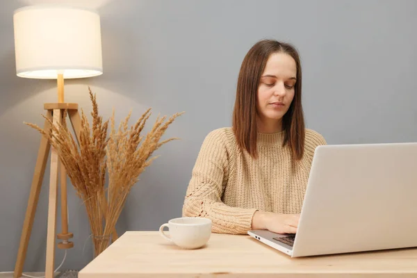 Remote worker using laptop. Online occupation. Concentrated beautiful brown haired woman wearing beige sweater working on computer while sitting at table against lamp and dry flowers