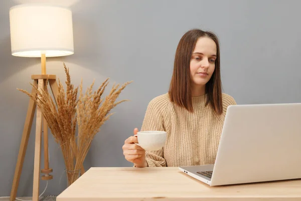 Distance work options. Remote workspace. Calm brown haired woman wearing beige sweater working on computer and drinking coffee while sitting at table against lamp and dry flowers
