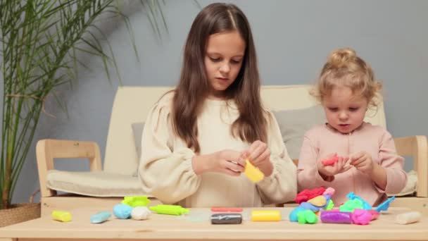 Aile Plastikçilik Seansı Eğlenceli Bir Eğitim Aktivitesi Yaratıcı Modellik Birlikte — Stok video