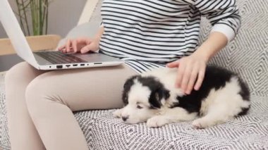 Tanımlanamayan bir kadın evinde koltukta oturmuş köpeğini okşuyor ve bilgisayarında evcil hayvanıyla internette klavye yazarken bilgisayarını kullanıyor.