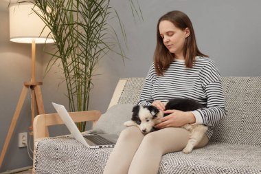 Genç, kahverengi saçlı, çizgili gömlek giyen beyaz bir kadın köpeğiyle kanepeye oturmuş evde köpekle dinlenirken dizüstü bilgisayarını eğlenmek için kullanıyor.