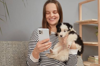 Gülümseyen, güzel, yetişkin bir kadın çizgili tişört giyiyor akıllı telefon kullanıyor, küçük köpeğini kucaklıyor ve evdeki kanepede oturmuş komik bir evcil hayvanla internette kayıyor.