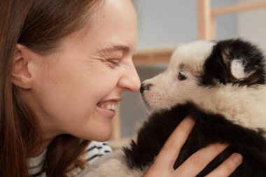 Yakın profil portresi, çizgili gömlek giyen, gülümseyen, beyaz bir kadının oturma odasında küçük bir köpekle poz verirken burnuna dişleriyle gülümseyen bir köpek.