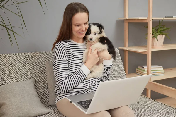 Şirin, neşeli, beyaz, çizgili tişört giyen, yavru köpeğiyle koltukta oturan ve evcil hayvanını bilgisayar ekranına gösteren bir dizüstü bilgisayar kullanan bir kadın.