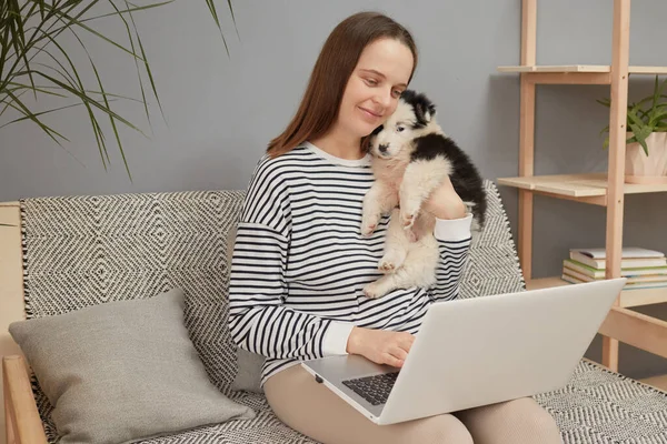 Gülümseyen sevimli beyaz kadın çizgili tişört giymiş yavru köpeğiyle koltukta oturuyor dizüstü bilgisayarla klavye kullanıyor ve dizüstü bilgisayar ekranına bakıyor.