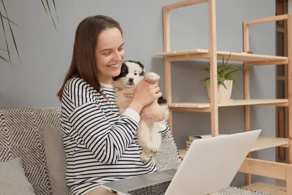 Çekici gülümseyen beyaz kadın, çizgili tişört giymiş yavru köpeğiyle koltukta oturuyor. Bilgisayarla çevrimiçi sohbet ediyor.