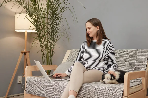 Kahverengi saçlı, beyaz kadın, çizgili tişört giymiş, köpeğiyle koltukta oturmuş, dizüstü bilgisayarını kullanıyor, evde dinleniyor, köpeğini okşuyor ve bilgisayar ekranına bakıyor.