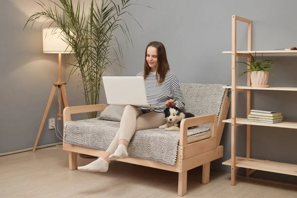 Çekici, genç, beyaz, çizgili gömlek giyen bir kadın köpeğiyle koltukta oturuyor. Küçük köpeğini okşayan bir film izlemek için dizüstü bilgisayar kullanıyor.