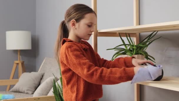 Kleines Braunhaariges Mädchen Hilft Ihrer Mutter Beim Putzen Des Wohnzimmers — Stockvideo