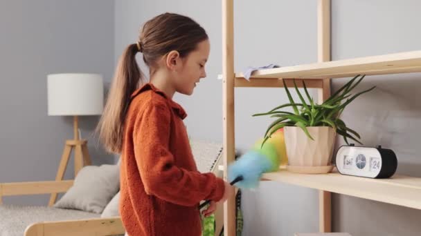 친화적 청소에 아이의 아이들을위한 더스터와 먼지를 — 비디오