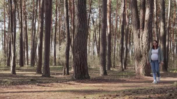 Allegra Donna Caucasica Incinta Che Cammina Fuori Nella Foresta Durante — Video Stock