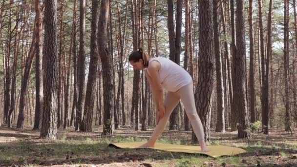 Donna Incinta Adulta Serena Che Trova Gioia Tranquillità Nello Yoga — Video Stock