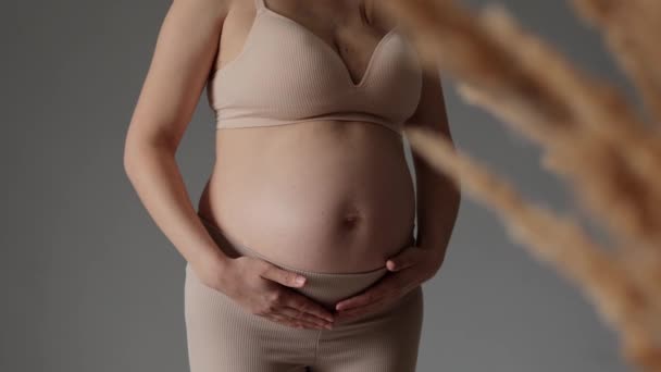 ベージュランジェリーとレギンスを着ている未知の妊婦は 彼女の将来の母親の腹の愛に触れる孤立した灰色の背景をポーズ彼女の妊娠に参加 — ストック動画