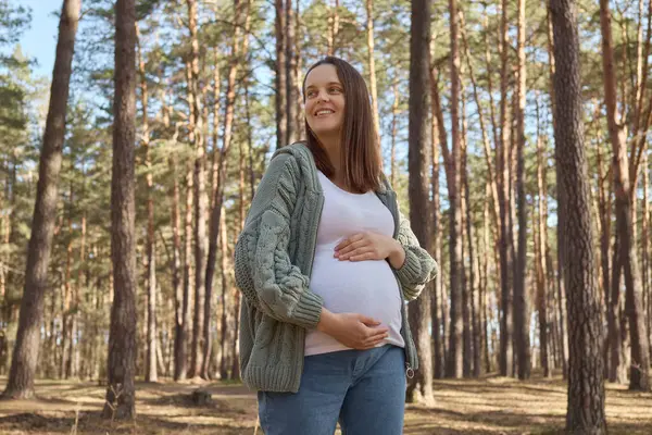 Aantrekkelijke Glimlachende Bruinharige Blanke Zwangere Vrouw Ontspannen Het Voorjaar Bos Stockafbeelding