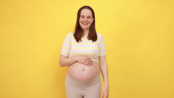 만족스러운 기쁘게 긍정적 코카서스 맨발의 캐주얼 노란색 배경에 스트로킹 그녀의 — 비디오