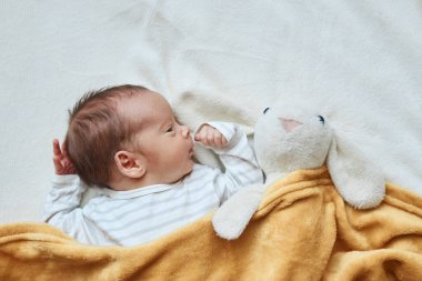 Yeni doğmuş bebek, beyaz yatakta sarı ekoseyle örtülmüş, evinde dinlenen yumuşak tavşan yavrusu, promosyon metni için kopya alanı, reklam alanı.