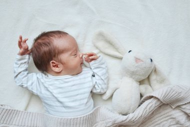 Yeni doğmuş erkek bebek, beyaz yatakta örülmüş ekosenin altında uyur evde tavşan oyuncağıyla rahat bir şekilde uyur, reklam metni ya da reklam içeriği için bol bol yer vardır.