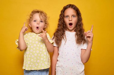 Şaşırmış kız kardeşler parmaklarını göstererek heyecan ve şaşkınlık gösteriyorlar. Parlak fikirleri ya da çözümleri sarı arka planda duruyor.