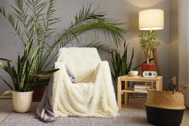 Güzel boş bir oturma odası, rahat koltuğu, şık yastıklarla dekore edilmiş ev çiçekleri, sıcak bir ev havası.