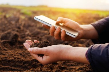 Günbatımında güneşli bir tarım alanında toprak kalitesini değerlendirmek için akıllı telefon kullanılırken, eller toprağı tutar..