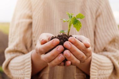 Kişi toprakta küçük yeşil bir bitki beşiği oluşturur, doğayla olan bağlantısını gösterir ve çevresel farkındalığı arttırır..