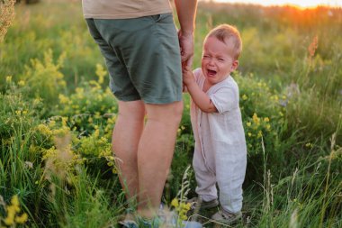 Küçük bir çocuk, altın saat boyunca güneşli, kır çiçekleriyle dolu bir tarlada ebeveyninin bacağını tutarken ağlar..