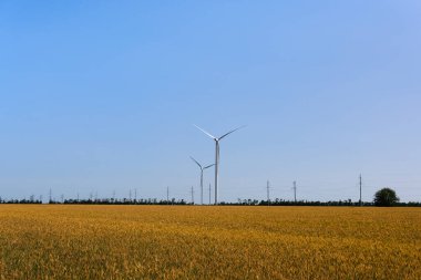 İki rüzgar türbini açık mavi gökyüzünün altında altın bir tarlada dikiliyor ve arka planda elektrik hatları görünüyor..