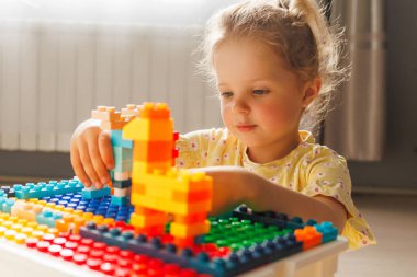 Dağınık at kuyruklu şirin bir kız rengarenk bina bloğu oluşumuna dikkatle bakıyor, odak ve yaratıcılık sergiliyor.