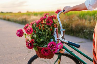 Bir sepet dolusu canlı pembe ve mor çiçekli eski bir bisikletin gidonu. Bir insanın eli sapında ve sağ tarafta çizgili bir elbise görülebilir..