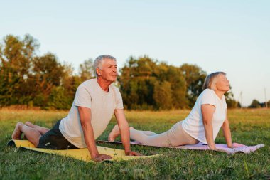 Kobra pozu vermiş olgun bir çift gün batımında çimen tarlasında yoga yapıyor..