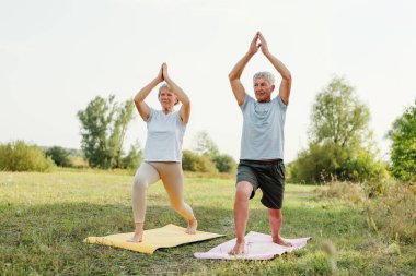 Aktif kıdemli çift bir tarlada yoga minderleri üzerinde savaşçı pozu veriyor..