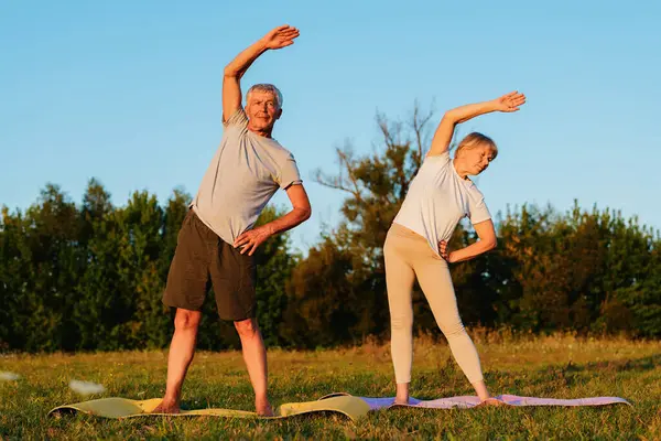 Olgun çift gün batımında çimenli bir tarlada yoga yapıyor..